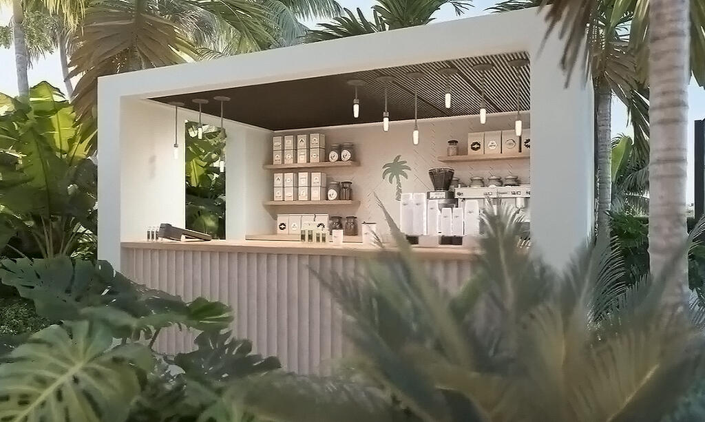 Palm Tree Brew & Juice Ba Palm Tree Brew & Juice Ba